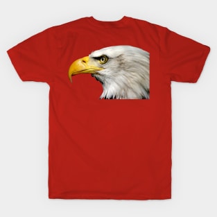 Bald Eagle T-Shirt